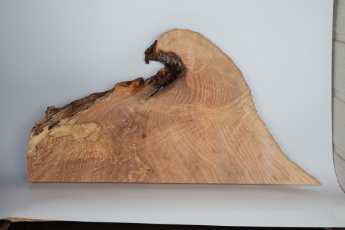 Jesion Spalted Fala Flame Ash