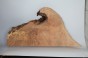Jesion Spalted Fala Flame Ash