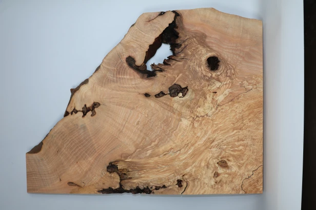 Jesion Spalted Fala Flame Ash