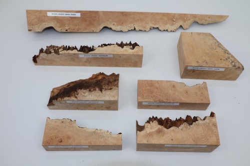 Jesion czeczot Burl Ash drewno na biżuterię wood for jewelry