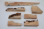 Jesion czeczot Burl Ash drewno na biżuterię wood for jewelry
