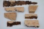 Jesion czeczot Burl Ash drewno na biżuterię wood for jewelry