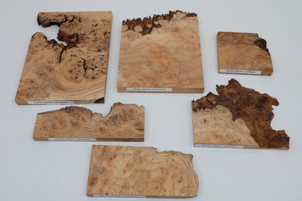 Jesion czeczot Burl Ash drewno na biżuterię wood for jewelry