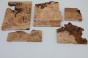 Jesion czeczot Burl Ash drewno na biżuterię wood for jewelry