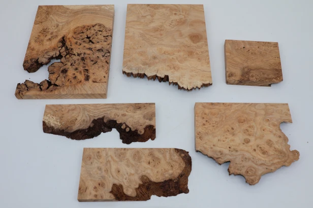 Jesion czeczot Burl Ash drewno na biżuterię wood for jewelry