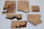 Jesion czeczot Burl Ash drewno na biżuterię wood for jewelry