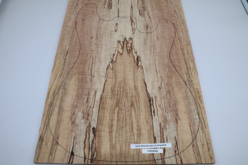 Klon Fala Spalted Maple Flame drewniany top na gitarę guitar top