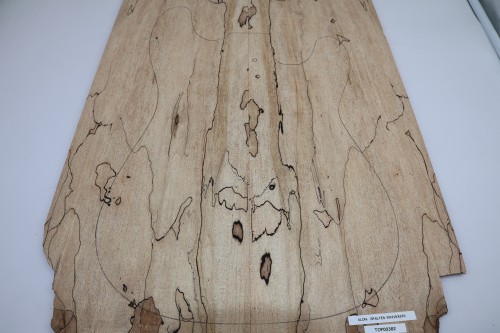 Klon Spalted Maple drewniany top na gitarę guitar top