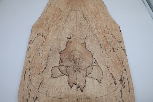 Klon Spalted Maple drewniany top na gitarę guitar top