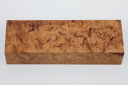Jesion czeczot Burl Ash jasnobrązowe stabilizowane drewno na rękojeść noża light brown stabilized wood for knife