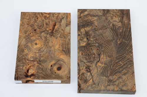 Jesion czeczot Burl Ash antracytowo-karmelowe stabilizowane drewno na biżuterię anthracite-caramel stabilized wood for jewelry