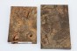 Jesion czeczot Burl Ash antracytowo-karmelowe stabilizowane drewno na biżuterię anthracite-caramel stabilized wood for jewelry