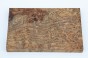 Jesion czeczot Burl Ash antracytowo-karmelowe stabilizowane drewno na biżuterię anthracite-caramel stabilized wood for jewelry