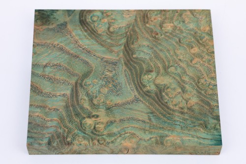 Jesion czeczot Burl Ash zielone stabilizowane drewno na biżuterię green stabilized wood for jewelry