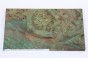 Jesion czeczot Burl Ash zielone stabilizowane drewno na biżuterię green stabilized wood for jewelry