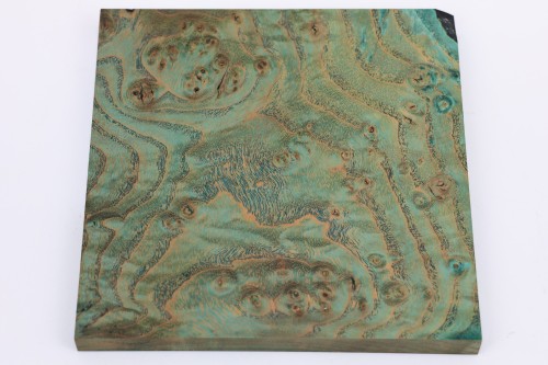 Jesion czeczot Burl Ash zielone stabilizowane drewno na biżuterię green stabilized wood for jewelry