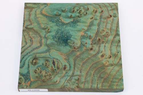 Jesion czeczot Burl Ash zielone stabilizowane drewno na biżuterię green stabilized wood for jewelry