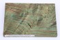 Jesion czeczot Burl Ash zielone stabilizowane drewno na biżuterię green stabilized wood for jewelry