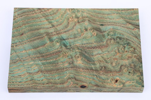 Jesion czeczot Burl Ash zielone stabilizowane drewno na biżuterię green stabilized wood for jewelry