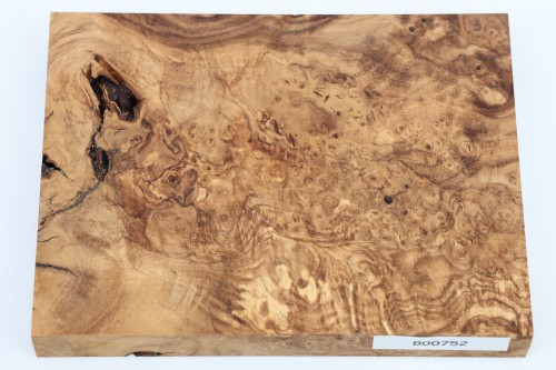 Jesion czeczot Burl Ash stabilizowane drewno na biżuterię stabilized wood for jewelry