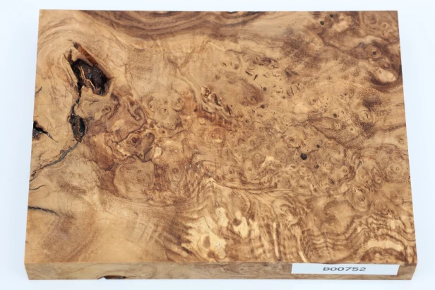 Jesion czeczot Burl Ash stabilizowane drewno na biżuterię stabilized wood for jewelry