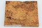 Jesion czeczot Burl Ash stabilizowane drewno na biżuterię stabilized wood for jewelry