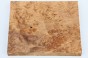 Jesion czeczot Burl Ash stabilizowane drewno na biżuterię stabilized wood for jewelry