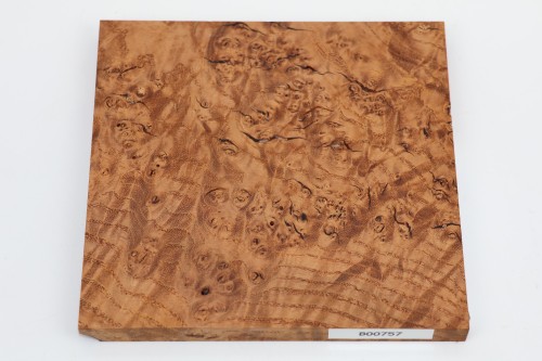Jesion czeczot Burl Ash jasnobrązowe stabilizowane drewno na biżuterię light brown stabilized wood for jewelry