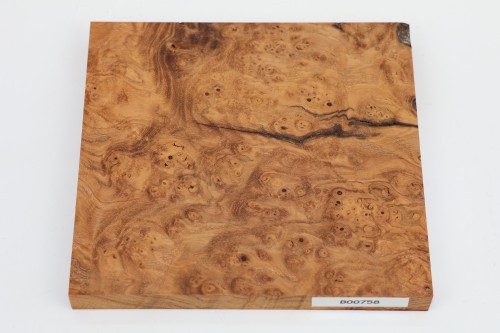 Jesion czeczot Burl Ash jasnobrązowe stabilizowane drewno na biżuterię light brown stabilized wood for jewelry