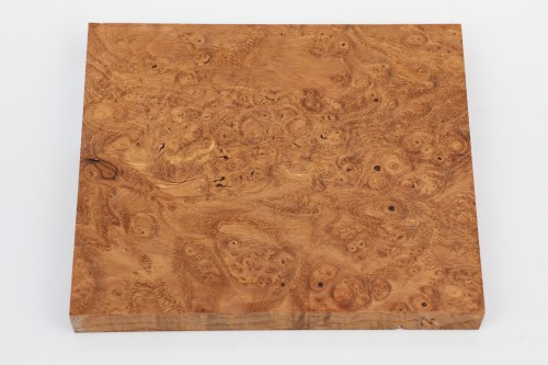 Jesion czeczot Burl Ash jasnobrązowe stabilizowane drewno na biżuterię light brown stabilized wood for jewelry