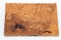 Jesion czeczot Burl Ash jasnobrązowe stabilizowane drewno na biżuterię light brown stabilized wood for jewelry
