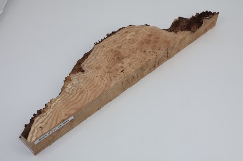Jesion czeczot Burl Ash