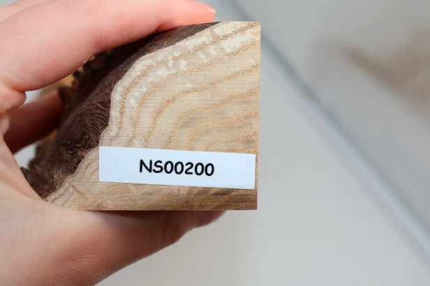 Jesion czeczot Burl Ash