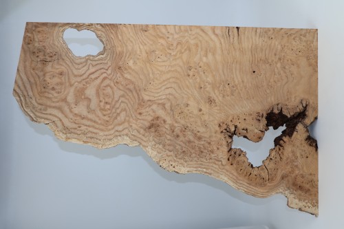 Jesion czeczot Burl Ash