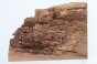 Orzech Kaukaski Caucasian Walnut