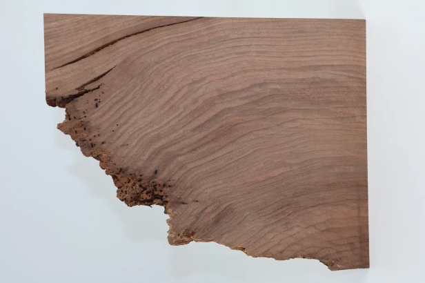 Orzech Kaukaski Caucasian Walnut