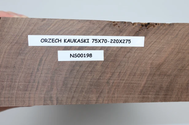 Orzech Kaukaski Caucasian Walnut