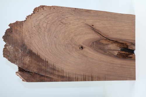 Orzech Kaukaski Caucasian Walnut