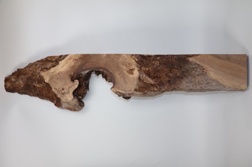 Orzech Kaukaski Caucasian Walnut