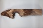 Orzech Kaukaski Caucasian Walnut