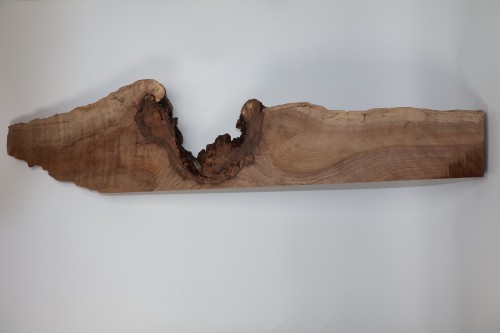 Orzech Kaukaski Caucasian Walnut