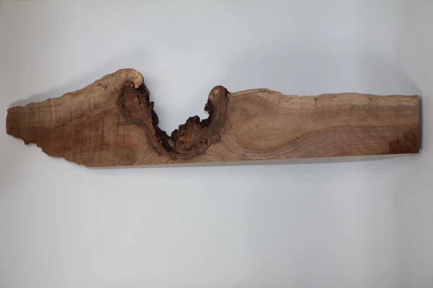 Orzech Kaukaski Caucasian Walnut