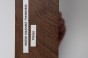 Orzech Kaukaski Caucasian Walnut drewno do toczenia wood for turning