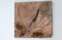 Orzech Kaukaski Fala Flame Caucasian Walnut drewno do toczenia wood for turning