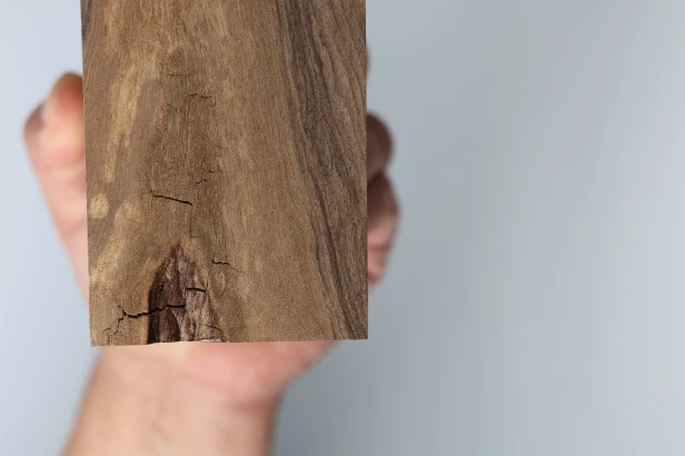 Orzech Kaukaski Fala Flame Caucasian Walnut drewno do toczenia wood for turning