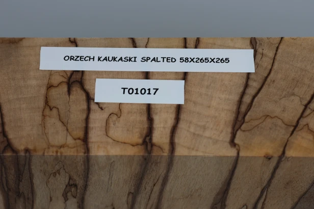 Orzech Kaukaski Spalted Caucasian Walnut drewno do toczenia wood for turning