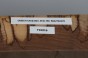 Orzech Kaukaski Spalted Caucasian Walnut drewno do toczenia wood for turning