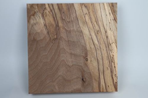 Orzech Kaukaski Spalted Caucasian Walnut drewno do toczenia wood for turning