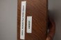 Orzech Kaukaski Fala Flame Caucasian Walnut