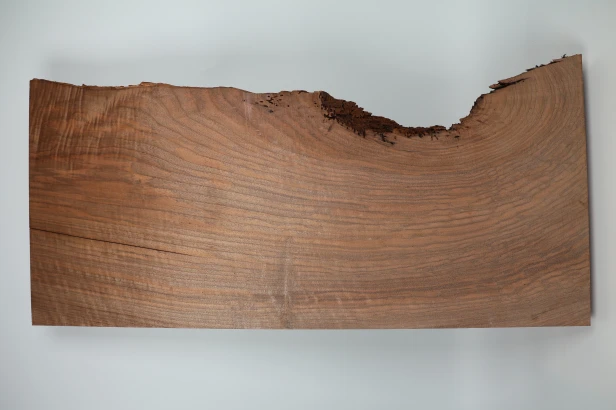 Orzech Kaukaski Fala Flame Caucasian Walnut
